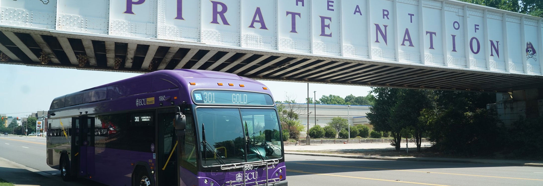Bridge in Greenville, North Carolina with the words "Pirate Nation"